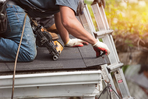 Best Metal Roofing Contractor  in Winslow, AZ